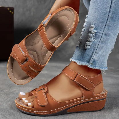 Elyvé™ | L’Assise